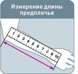 size_predplechie.jpg size_predplechie.jpg